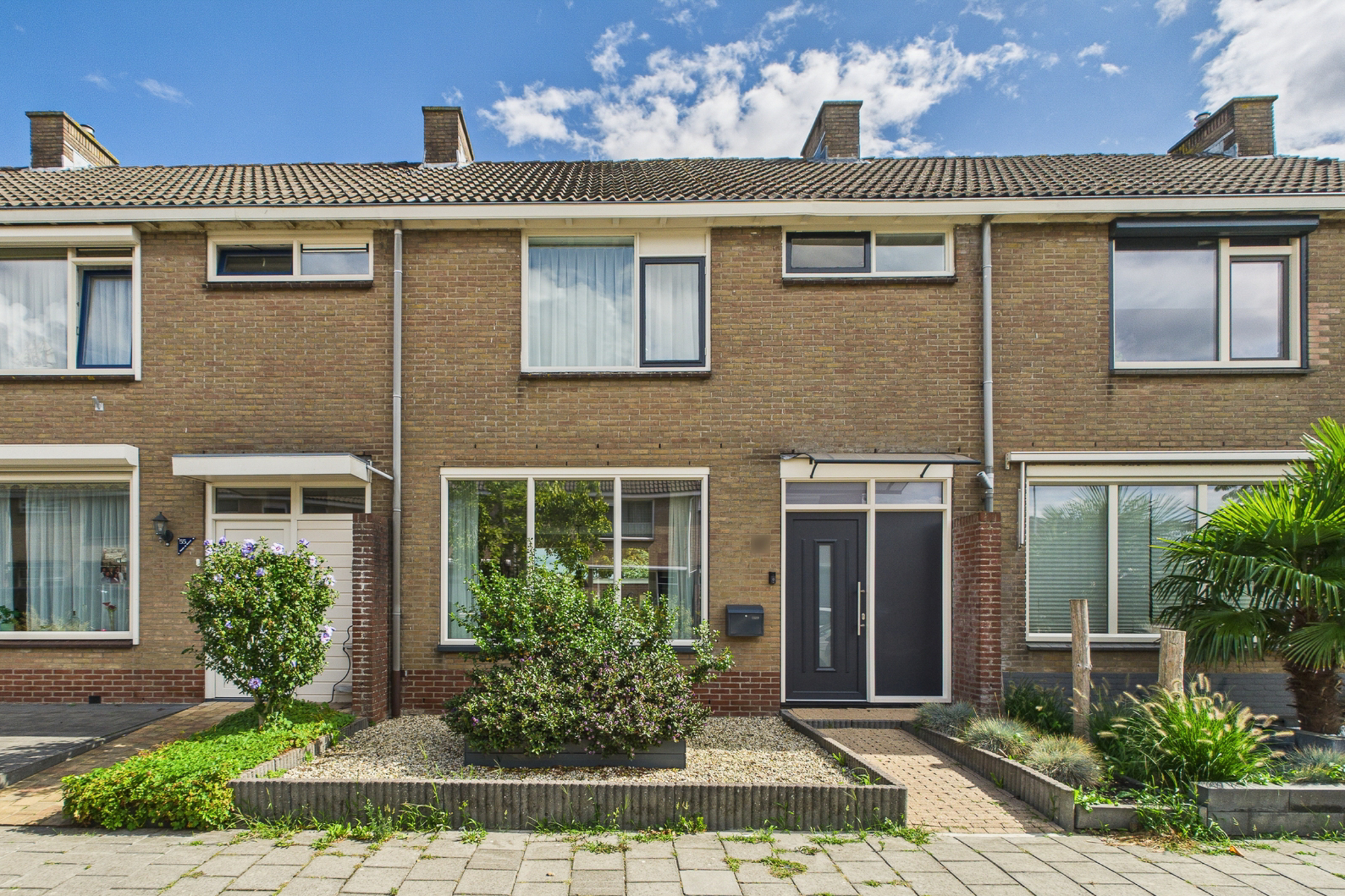 Dolfijnstraat 57