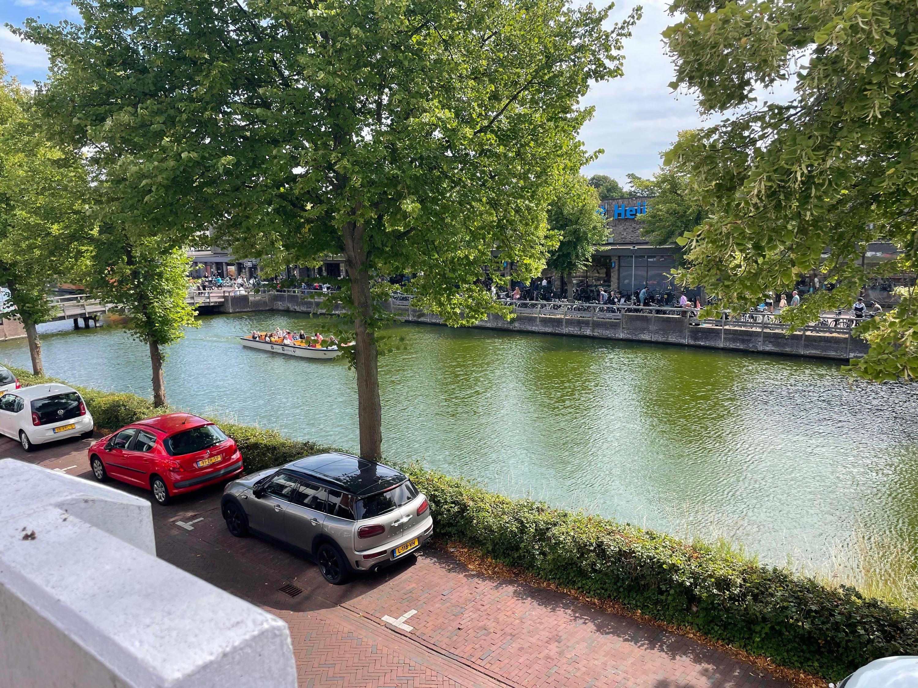 Beenhouwerssingel 10